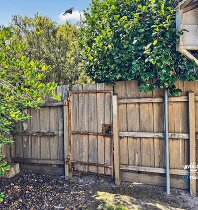 Discover a unique outdoor space featuring rustic fencing and natural greenery, perfect for private relaxation.