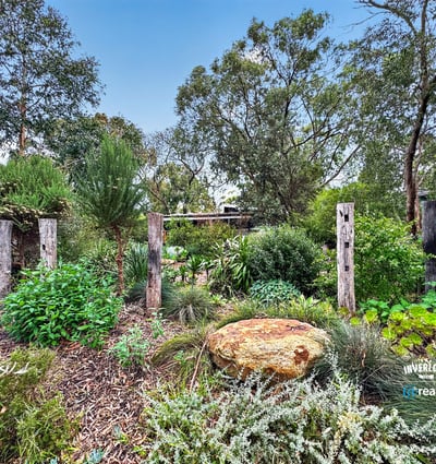Lush garden landscape featuring native plants and rustic timber accents creates a vibrant outdoor retreat.