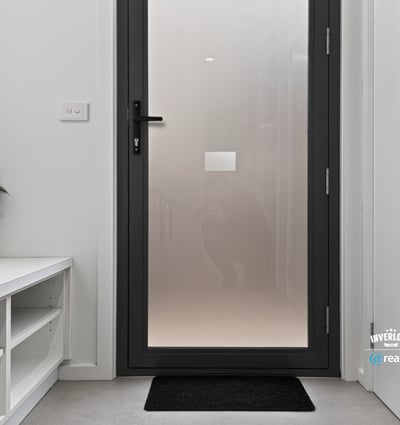 Modern entryway featuring a sleek door and minimalistic design, perfect for welcoming guests.