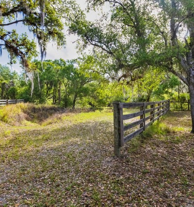 8096 SW Golden Glade Ave, Arcadia, FL