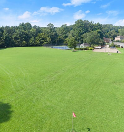 1551 Tennessee Walker Drive, Roswell, GA