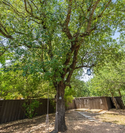 8912 Geranium Cove, Austin, TX