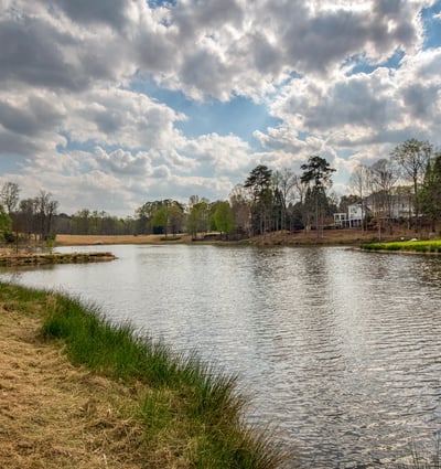 1325 Rolling Links Drive, Milton, GA