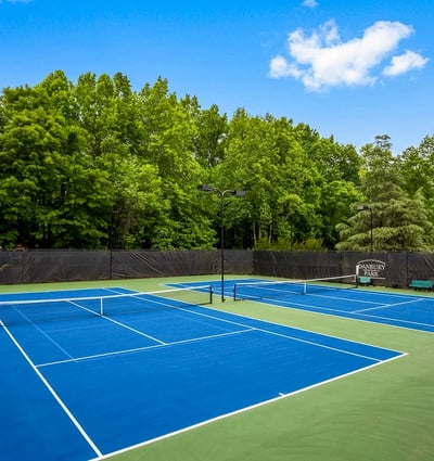 1110 Bascomb Farm Drive, Alpharetta, GA