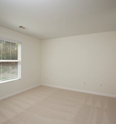 6728 Pierless Avenue, Sugar Hill, GA