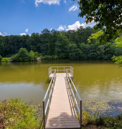 4120 Talavera Drive, Cumming, GA
