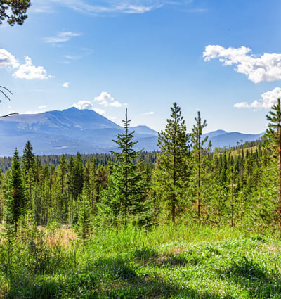 322 Slalom Drive, Breckenridge, CO