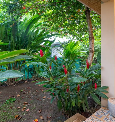 Your Private Paradise in Playa Hermosa, Hermosa, Costa Rica