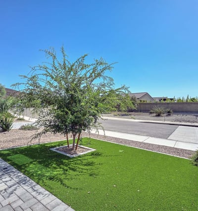 A well-maintained synthetic lawn and tree-lined view greet you from the front of this Peoria property. Located on a peaceful street, the front yard offers effortless beauty and welcoming curb appeal with desert-friendly landscaping.