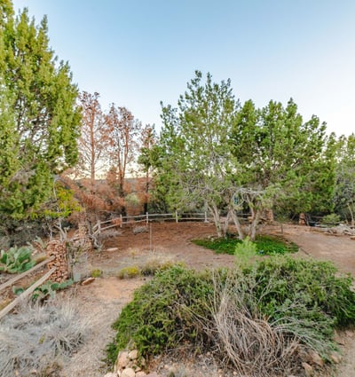 Native shrubs, evergreens, and open ground create a picturesque garden space perfect for relaxing or exploring. A peaceful highlight of Hackberry s rugged beauty.