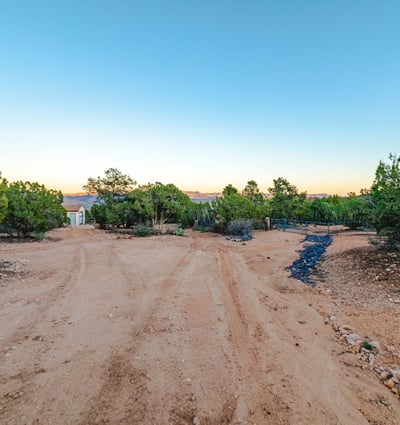 This long private drive provides a quiet approach through natural vegetation and gently rolling land, emphasizing the property s privacy and acreage.