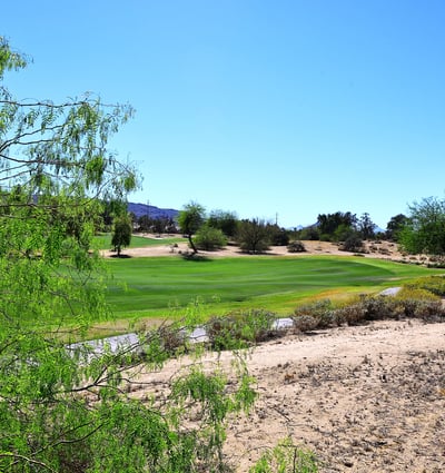 Backyard setting with expansive golf course views, desert landscaping, and mature greenery. This Phoenix home offers a tranquil outdoor environment with open space.