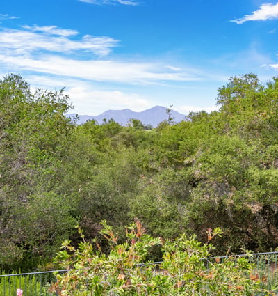 1 Tucson, Coto de Caza, CA