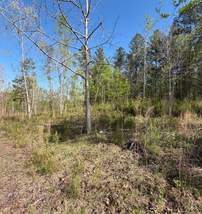 2125 Hwy 247, Belton, SC