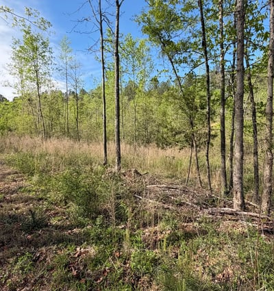 2125 Hwy 247, Belton, SC