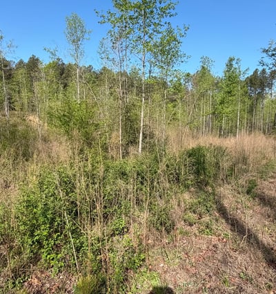 2125 Hwy 247, Belton, SC