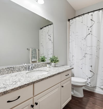 1246 W Spine Tree Ave, Queen Creek, AZ