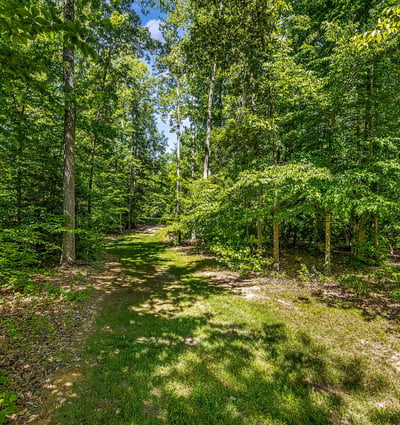 626 Long Meadow Drive, Fredericksburg, VA
