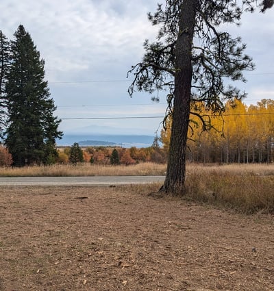 1608 Bear Trail Loop, Cascade, ID