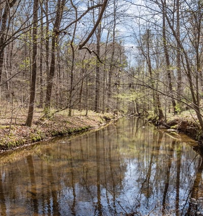 825 Oxbow Crossing, Chapel Hill, NC