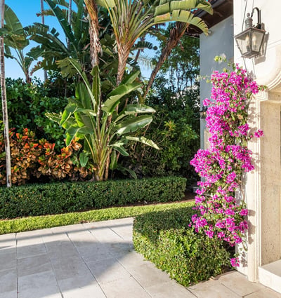 6330 Allison Rd, Miami Beach, FL