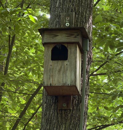 A truly special piece of the property s story: this barred owl nesting box has welcomed nesting owls almost every year for the past 16 years, with babies often making their spring debut. A webcam offers a front-row view of this quiet backyard tradition one more way this home feels connected to nature.