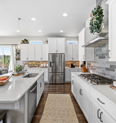 16297 Forest Cloud Way, Monument, CO