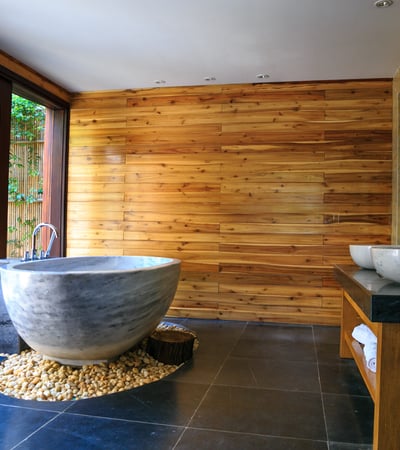 Tub with a View