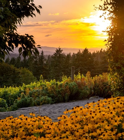 21510 S Wisteria Road, West Linn, OR