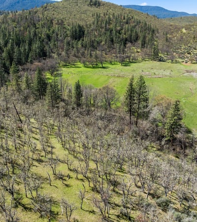 Buckhorn Road #1000, Ashland, OR