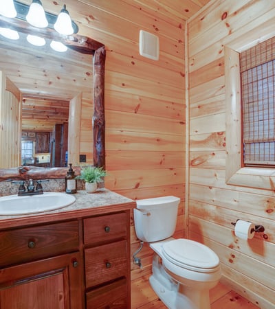 138 Lucius Lane, Cherry Log, GA