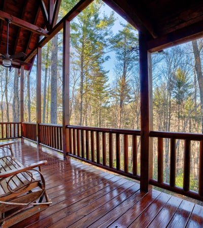 138 Lucius Lane, Cherry Log, GA