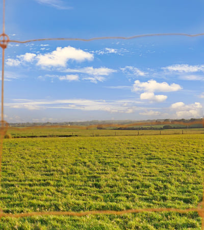 Expansive green fields under a bright sky, ideal for agricultural development or recreational living.
