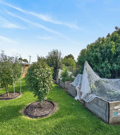 This property features a spacious garden with productive vegetable beds and diverse fruit trees.