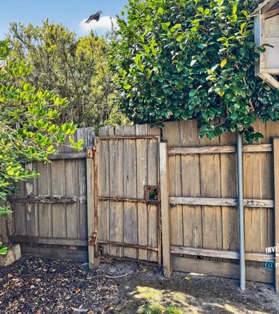 Discover a unique outdoor space featuring rustic fencing and natural greenery, perfect for private relaxation.