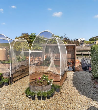 Discover this unique backyard space, featuring well-designed garden beds and protective structures for thriving plants.