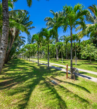 65 N Holokai Rd, Haiku, HI
