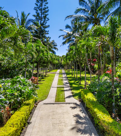 65 N Holokai Rd, Haiku, HI