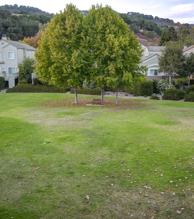 6455 Cormorant Way, Avila Beach, CA