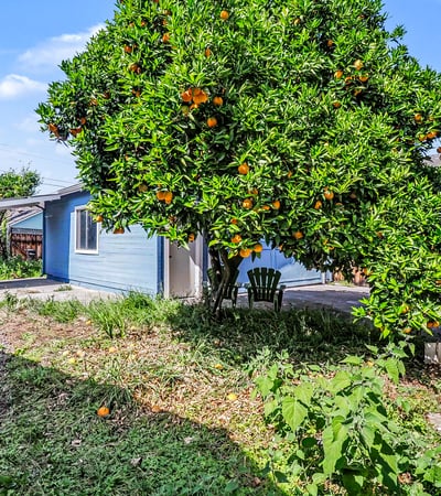  773 Park Court , Santa Clara, CA