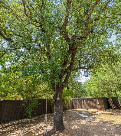 8912 Geranium Cove, Austin, TX