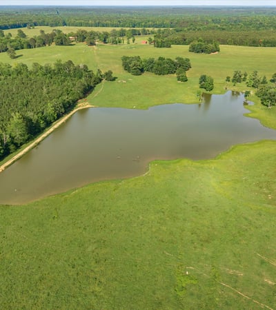 Expansive land featuring a picturesque pond, surrounded by lush greenery and ample space for development.