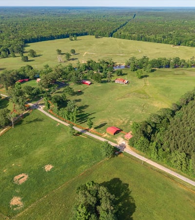 Expansive acreage features lush landscapes, multiple structures, and endless possibilities for custom development or recreation.
