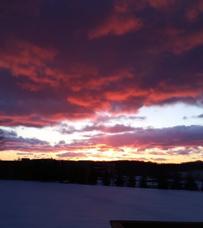 A dramatic winter sunrise over the serene snow-blanketed yard.