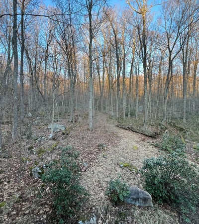 340 W. Laurel Lane, Rockwood, PA