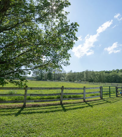 429 Old Distillery Road, Stahlstown, PA