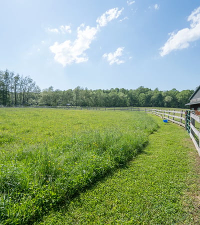 429 Old Distillery Road, Stahlstown, PA