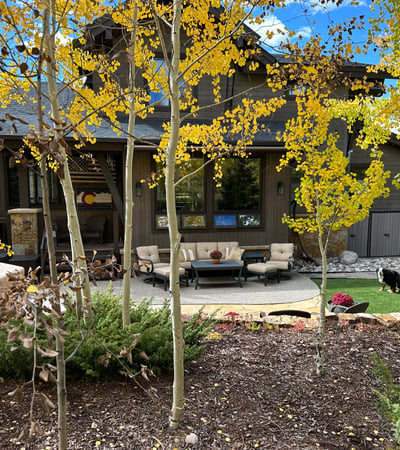 240 Game Trail Road, Silverthorne, CO