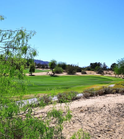 Backyard setting with expansive golf course views, desert landscaping, and mature greenery. This Phoenix home offers a tranquil outdoor environment with open space.
