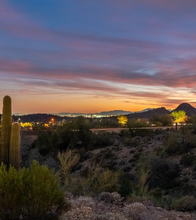 Scottsdale desert scenery with saguaro cacti, rolling hills, and colorful sunset skies, offering a peaceful and picturesque setting.